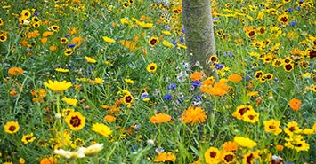 Olympic Park, Stratford
